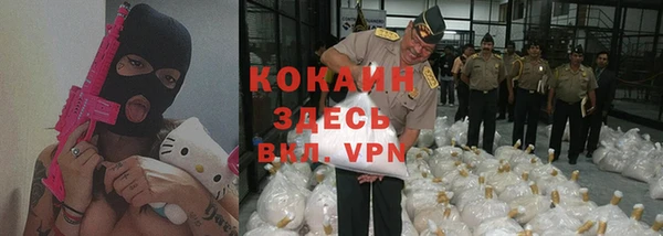 apvp Алексин