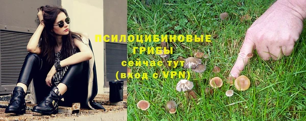 apvp Алексин