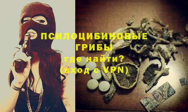 a pvp Алзамай