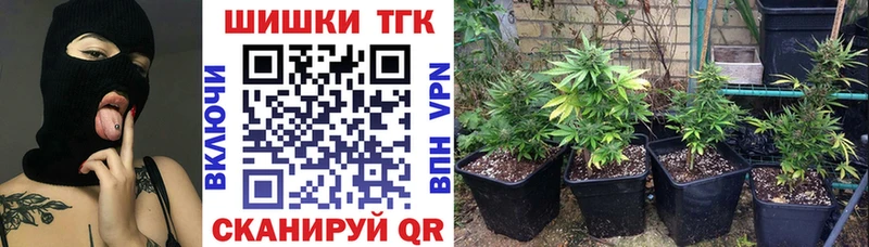 Шишки марихуана семена Славск
